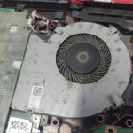 WhatsApp Image 2024-06-24 at 13.07.28